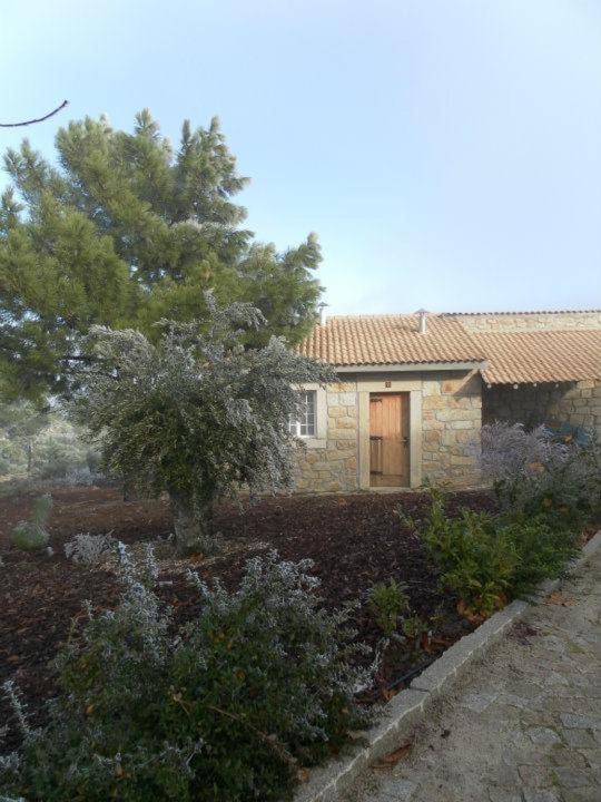 فيلا Montanhas Do Douro Paredes da Beira المظهر الخارجي الصورة